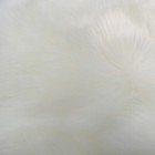 Bild 4 von 7