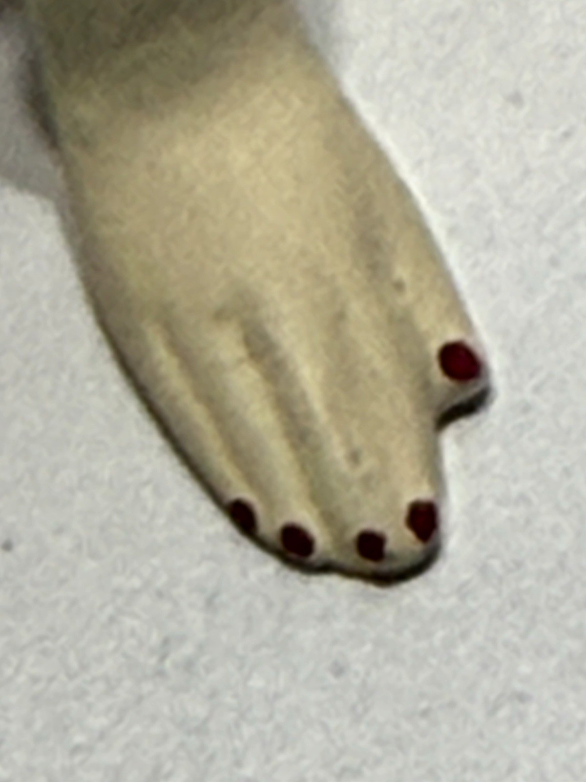 Picture 5 of 9