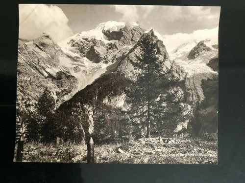Vintage Photographs Orher mit Berglihutte vom Weissen Knott Landscape - Picture 7 of 8