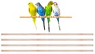 30-Inch Wooden Stand Perches For Bird Flight Cage Lot of 4 Pcs
