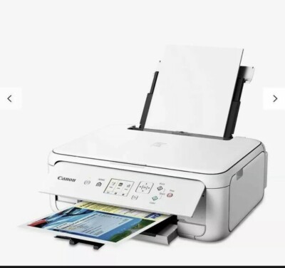 Canon PIXMA TS5151 Tintenstrahl-Multifunktionsdrucker + OHNE TINTEN.Gebraucht in sauberem Zustand