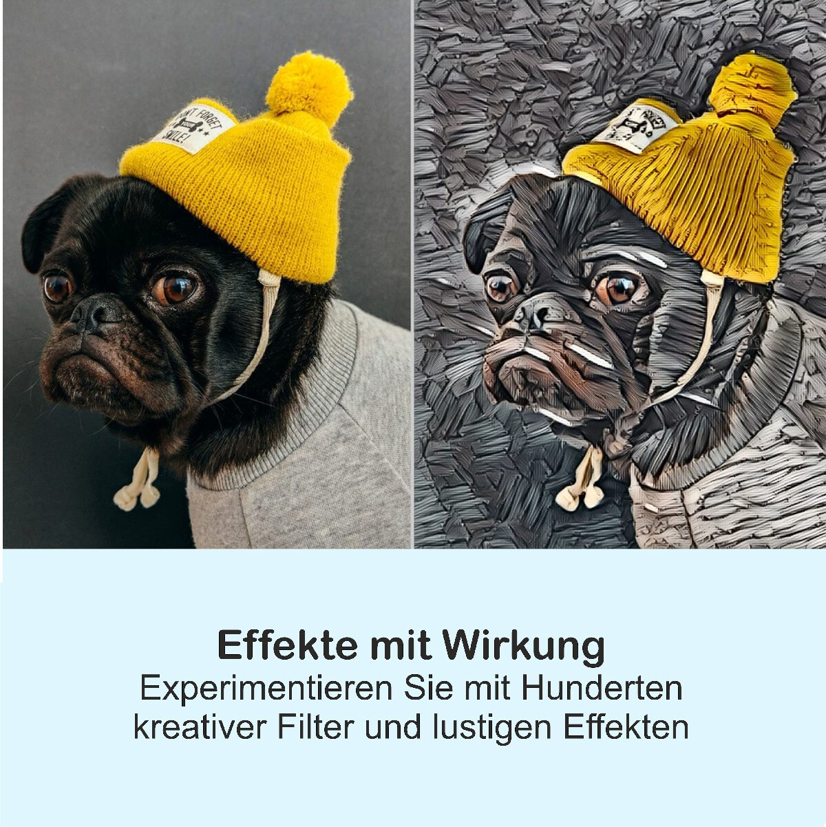 Bild 6 von 7