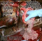 goatsodomy
