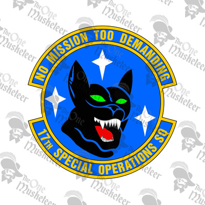 17TH SPECIAL OPS SQ Emblem- DECAL, QUALITY 3M VINYL