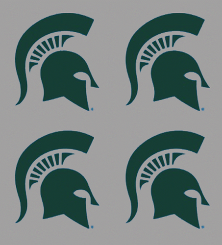 4 pezzi logo casco tatuaggi temporanei Michigan State Spartans senza acqua peel & stick - Foto 2 di 2