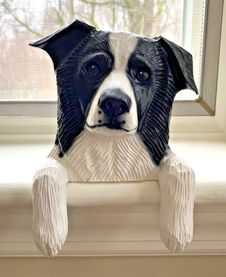 Border Collie Wall Hanging / Shelf Topper by Michael Park