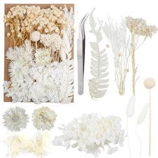 Dried Flowers,Dried Flowers Set for DIY Scrapbook Accessories Flower white