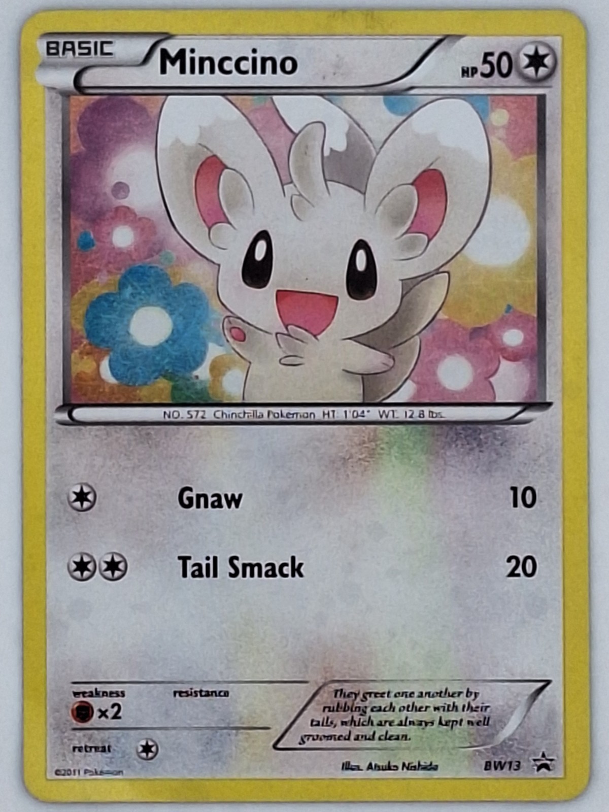 Minccino BW13 Pokemon - Holo Black Star Promo MP