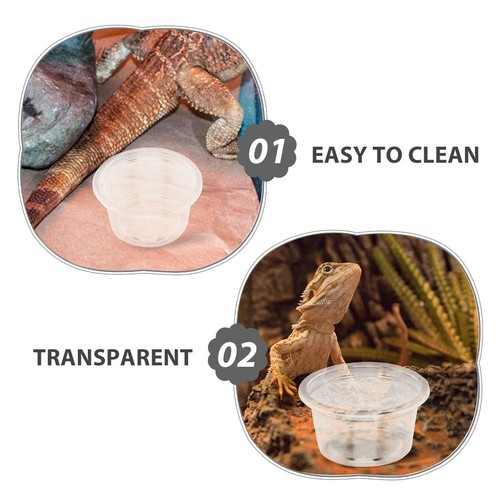  50 Pcs Food Dish for Reptile Tank Snake Water Bowl Gecko Feeder Leopard - Foto 10 di 12
