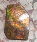 Bild 7 von 9