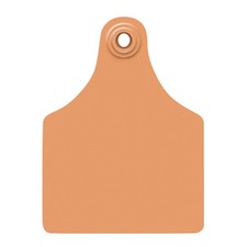 Global Maxi, Blank (25) Color: Orange