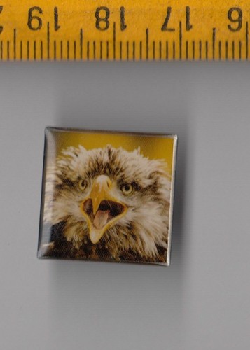 Netherlands Football Club pin badges Voetbal Logo Dutch Holland Ajax PSV Vitesse - Picture 28 of 37