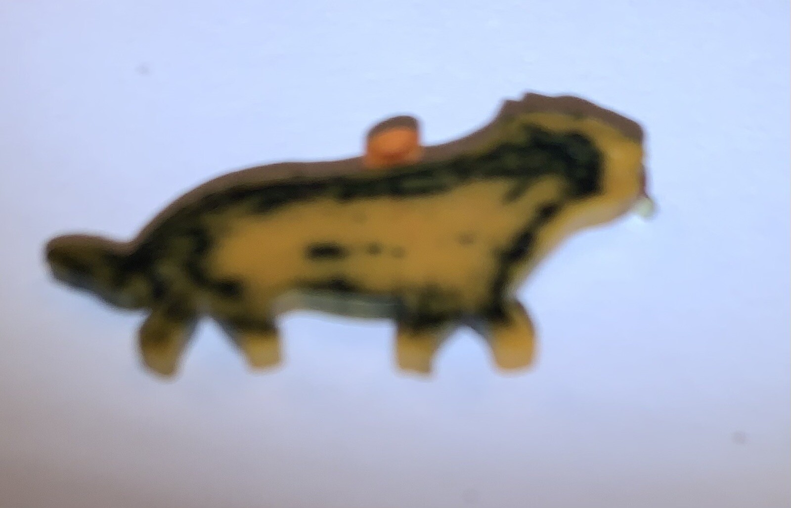 Picture 8 of 10