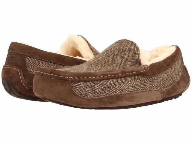 ugg ascot stout ugg ascot stout