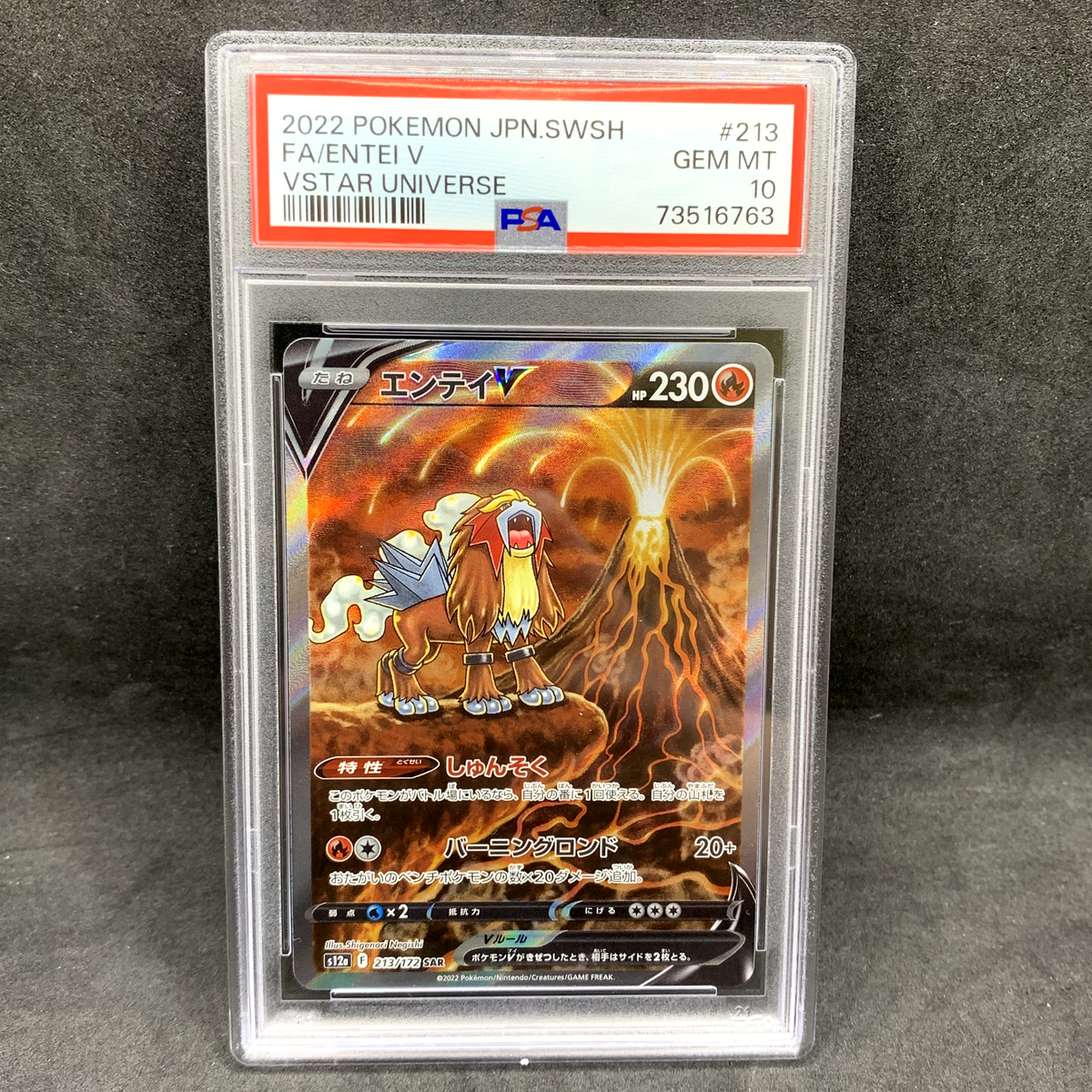 ★PSA10★【エンテイV/SAR/S12a】ENTEI V 213/172 s-l400.jpg