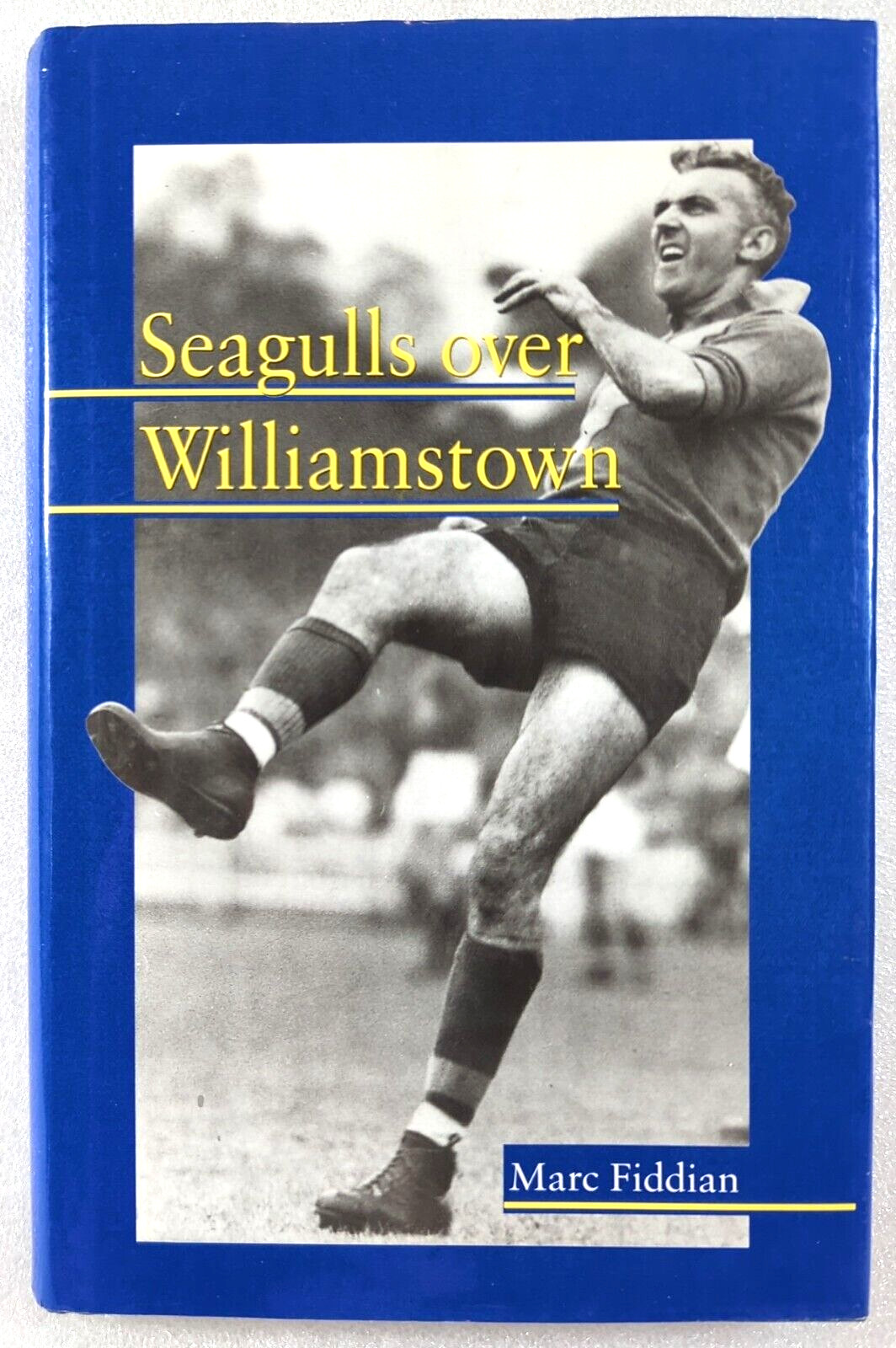 Seagulls Over Williamstown by Marc Fiddian