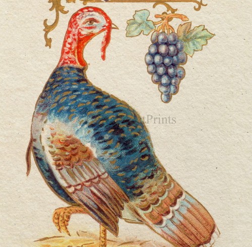 Thanksgiving Turkey Poster Print Game Bird Poster Fall Decor Farmhouse Decor - Picture 3 of 4