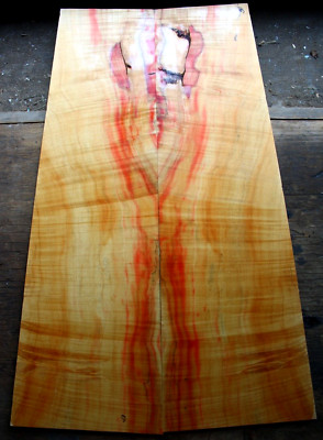 Curly red flame box elder maple drop top .31'' thk bass guitar tonewood 2399