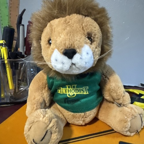 Methodist University Lion Plush Autographed Football Player-Pennnant-Cup-Pom - Picture 2 of 6