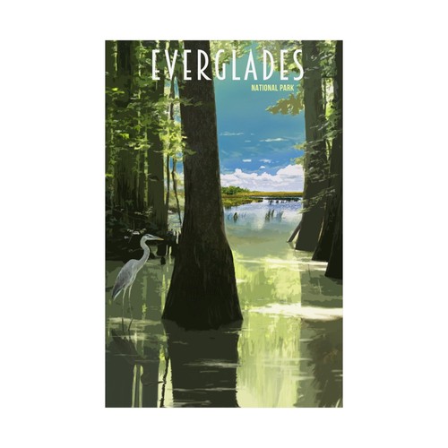 Florida Everglades National Park Travel Art Matte Poster - Nature Wall Art - Picture 3 of 13