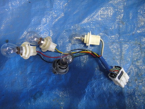 LAMPENFASSUNG Lampenträger für RÜCKLEUCHTE Heckleuchte Chevrolet Daewoo Evanda - Bild 1 von 1