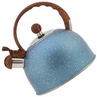 Honk Kettle Stainless Loud Whistle Teapot Whistling Kettles Stovetop