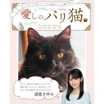 Paris Cat Cafe Book - 22 Cats in Stylish Paris Locations For Ages 14+
