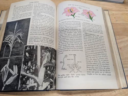 Understanding The Universe By Franklin B Carroll 1952 Vintage Science Textbook - Bild 12 von 12