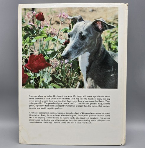 SIGNED - The New Complete Italian Geyhound by Lilian S. Barber - Hardcover - Picture 3 of 18