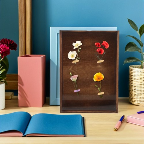 Caja de sombra de madera: vitrina de muestras de insectos - marco de fotos para fotos - Imagen 7 de 12