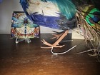 Picture 5 of 10