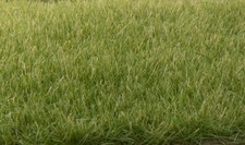 Woodland Scenics 618 All Scale Static Grass - Field System -- Medium Green
