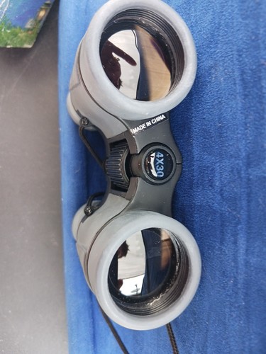 Pasco Mini 4x30mm Compact Binoculars # 26307 These are not cheap binoculars. - Picture 2 of 18