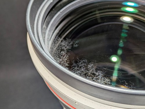 Teleobjetivo Canon EF 400 mm f/2,8L II USM [Excelente] Desde Japón Envío rápido - Imagen 18 de 24