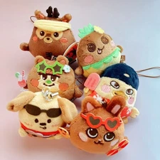 Kpop Riize Mini Doll Keyring Riizing Summer Edition Plush Doll