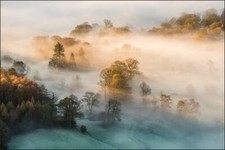 VLIES FOTOTAPETE XXL TAPETE Natur Sonne Nebel WALD 8721