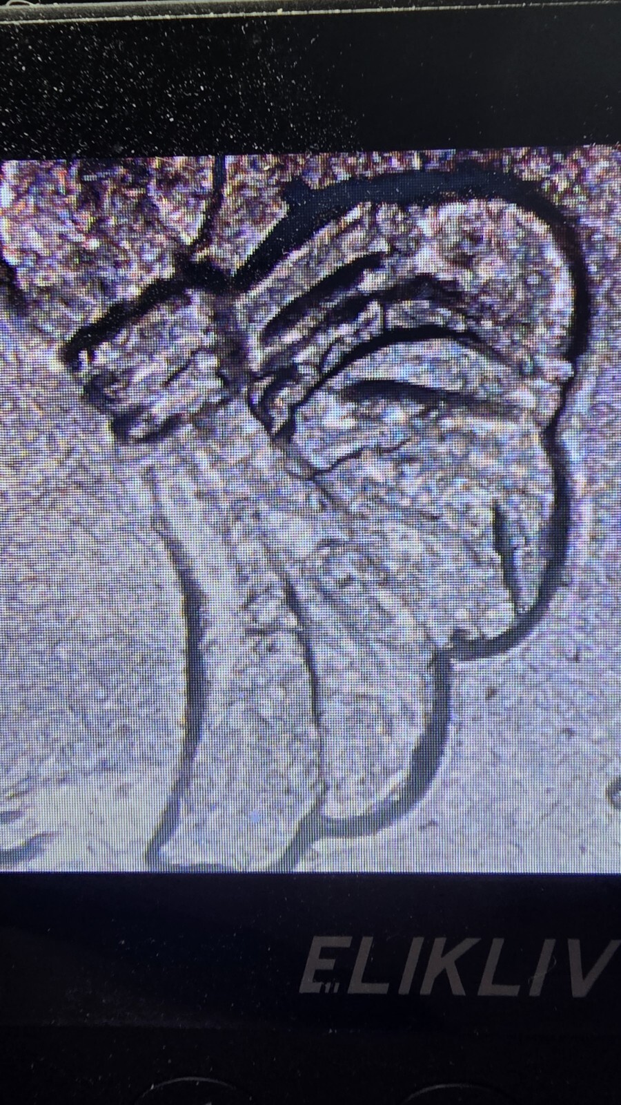 Picture 3 of 10