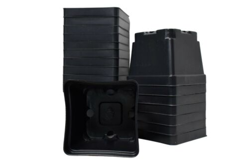 4.25" SQUARE PLASTIC NURSERY POTS - SET OF 50 - {4.2" x 3.6"} flower - Picture 2 of 6