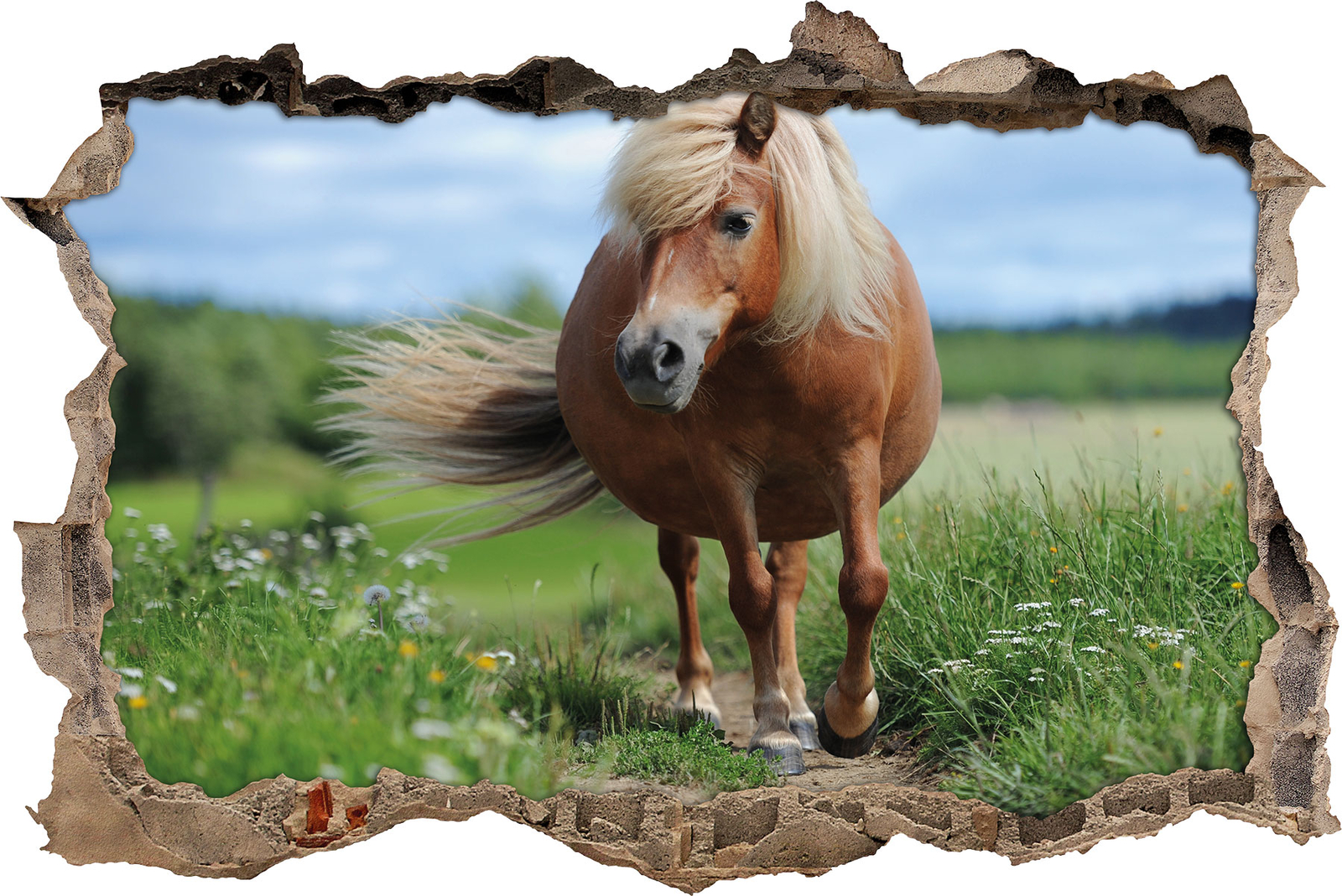 Poni Shetland en La Wiese - 3D-Look Avance Pegatina Pared Pegatina Sticker