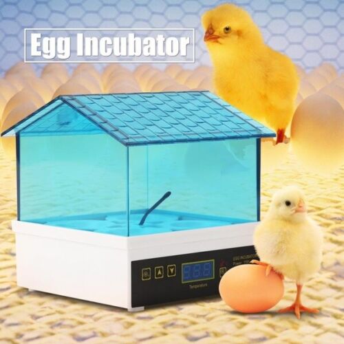 4 Digital Chicken Egg Incubator Hatcher Temperature Control Automatic Turning - Photo 1/10