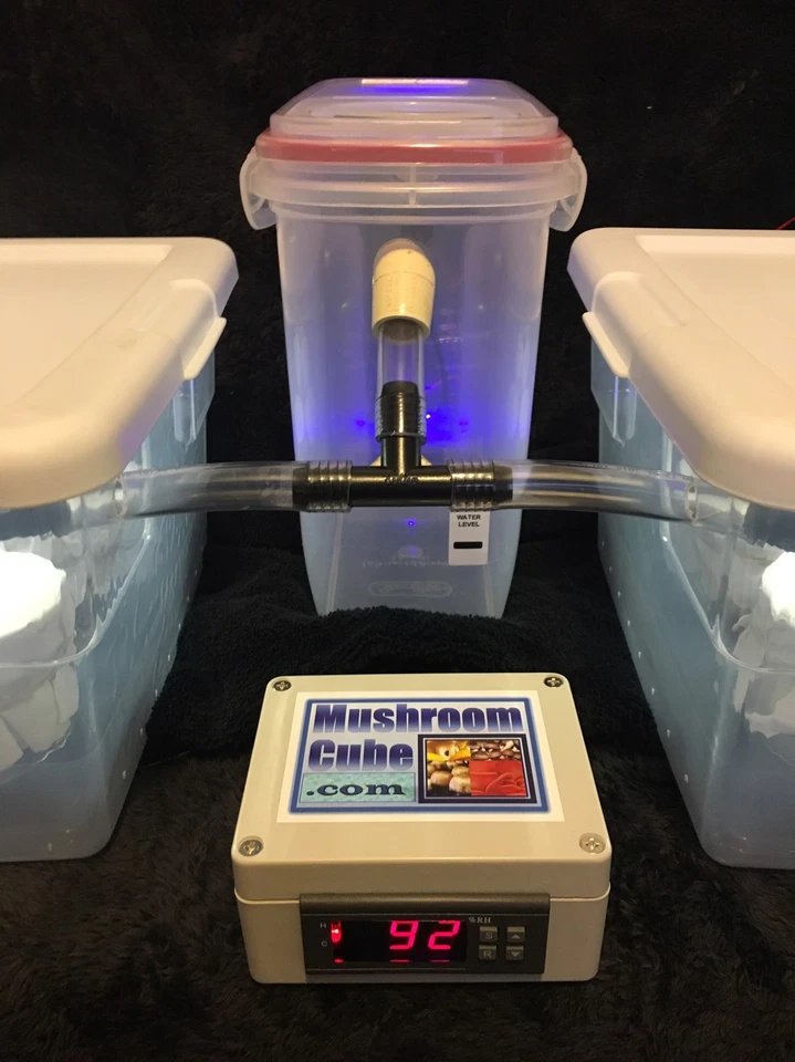 Automated Mushroom Growing Kit with 12 PF Tek Jars Sterile Substrate - Image 2 of 4