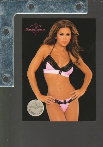 2004 Benchwarmer Series 1&2 SP PICK FROM LIST Up to 40% OFF! Playboy Playmate - Picture 60 of 231