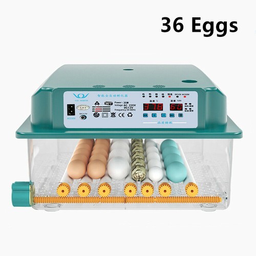 Eggs Incubator Chicken Quail Hatcher Incubators Automatic/Manual Hatching Eggs - Picture 50 of 78