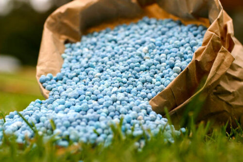 Lawn moss killer and Fertilizer 500g sachet; to treat 100 square meters - Picture 4 of 8