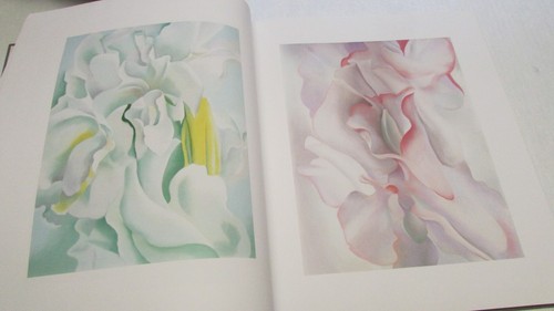 One Hundred Flowers Georgia O'Keeffe Book Floral Paintings Nature 1987 1st Ed - Bild 14 von 20