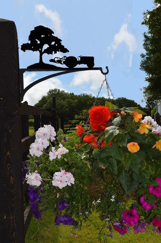 Ferguson TE20, Plough & Tree Hanging Basket Bracket - Handmade - High Quality - Picture 2 of 3