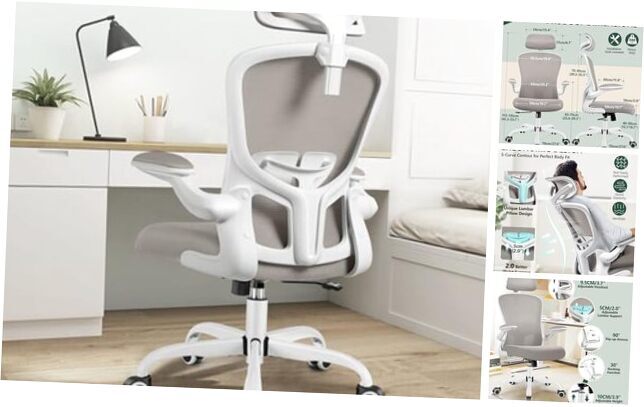 Ergonomic Office Chair, Headrest Desk Chair with Adjustable Lumbar 936-H Grey