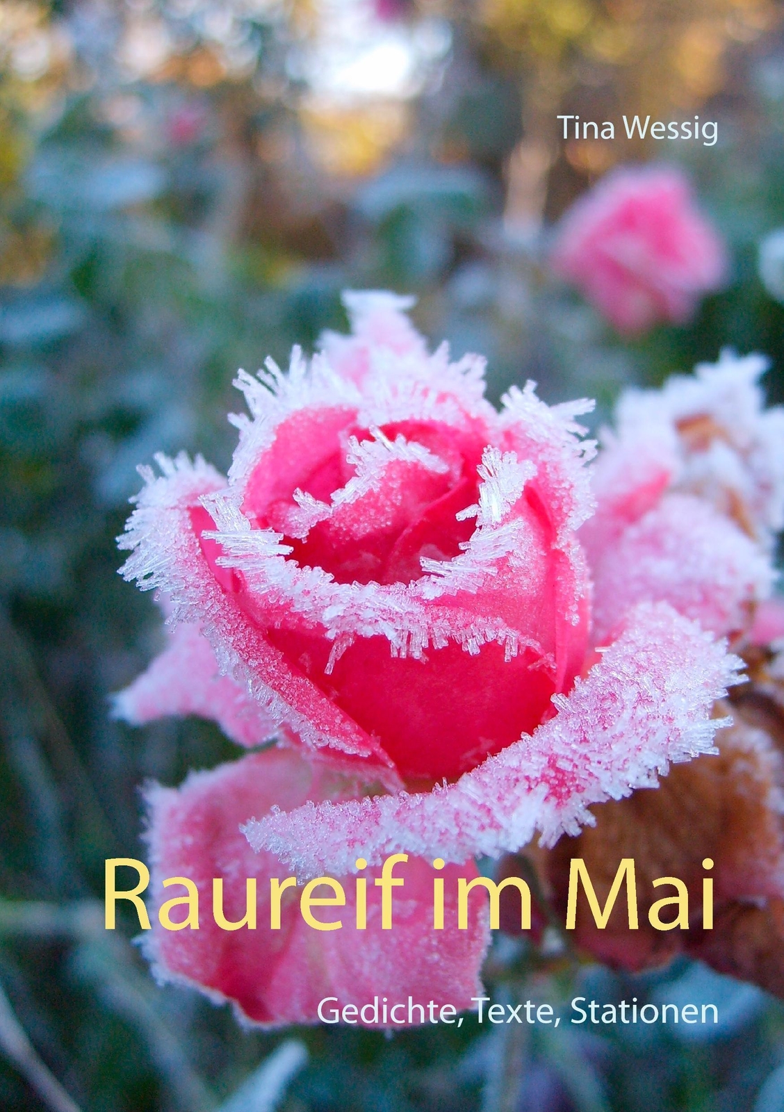 Thumbnail - Raureif Mai Gedichte, Texte, Stationen Tina Wessig Taschenbuch