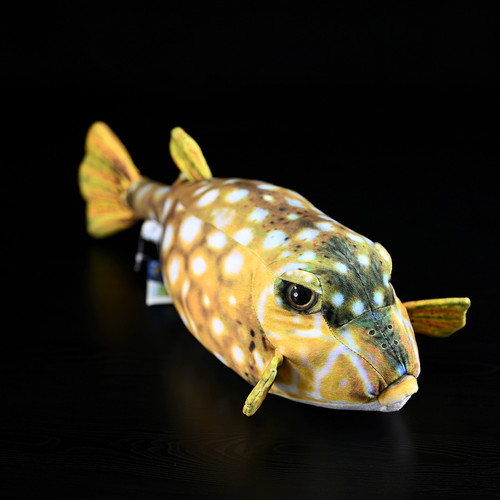 Simulazione scatola maschile pufferfish doll scatola carina pufferfish doll peluche 40 cm - Foto 5 di 5