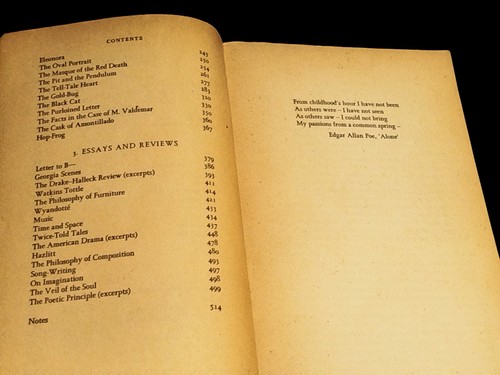 EDGAR ALLAN POE SELECTED WRITINGS - Imagen 4 de 5